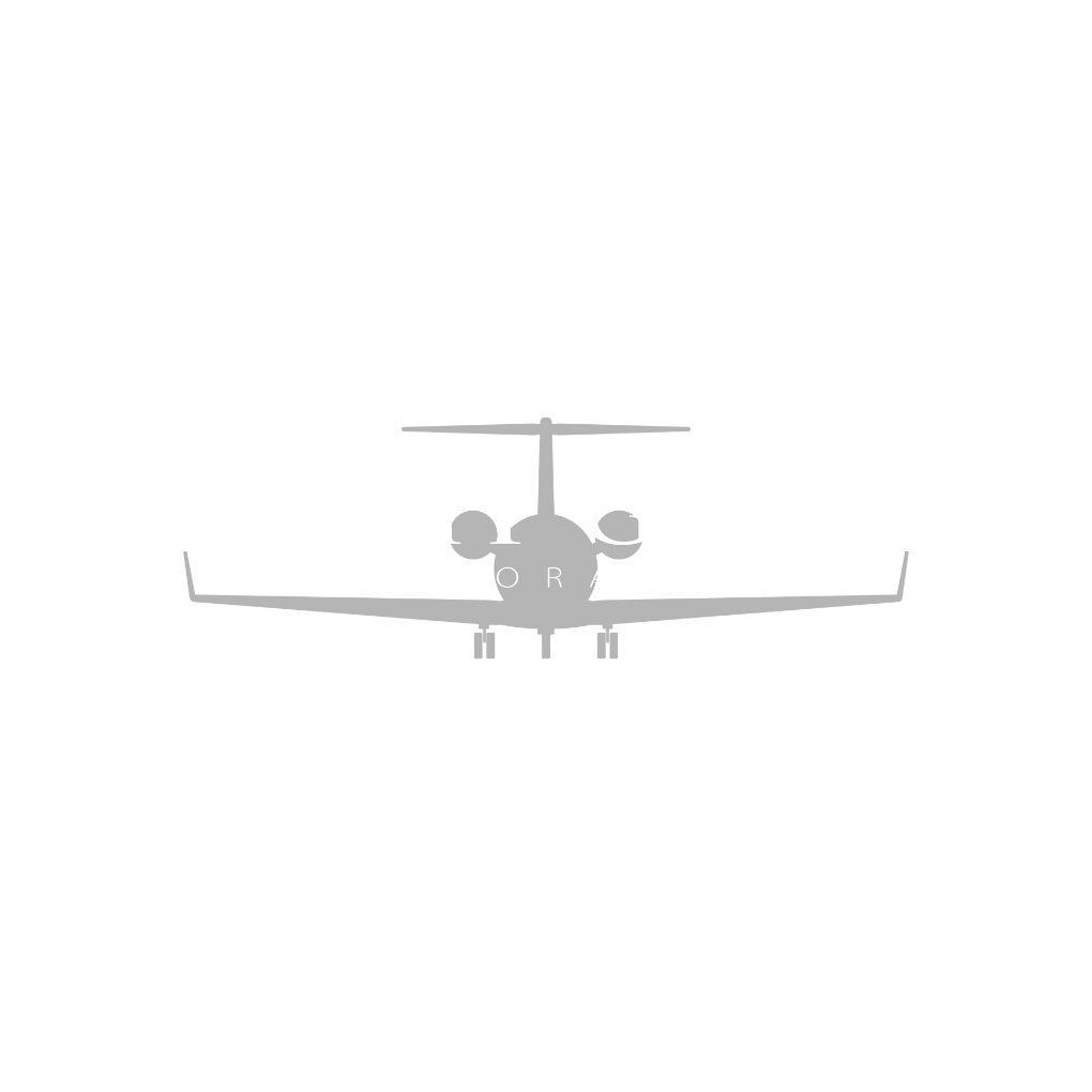 Flight Corporation Logo